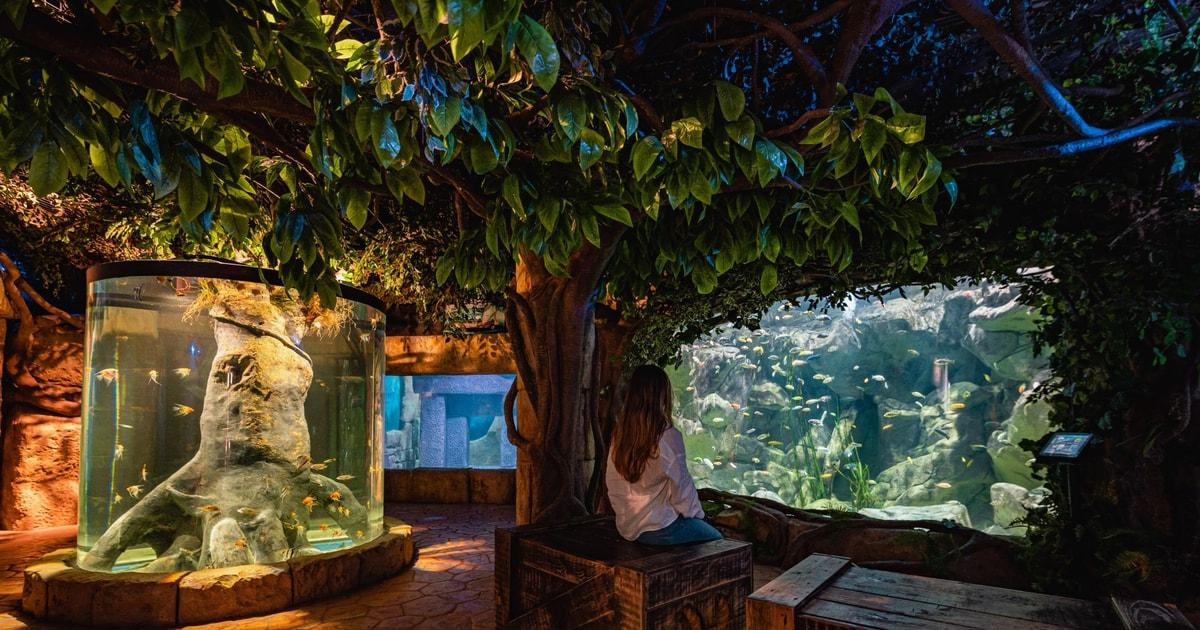 Malta National Aquarium ticket 4