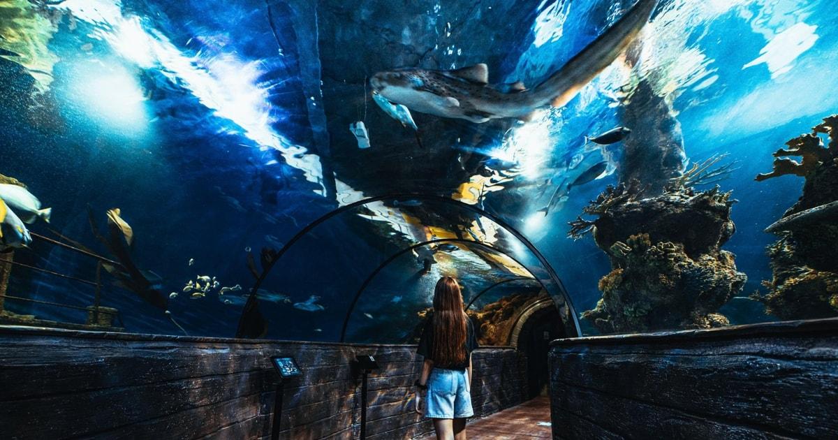 Malta National Aquarium ticket